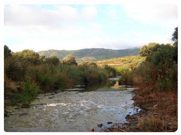 La Lisea, haciendo camino 